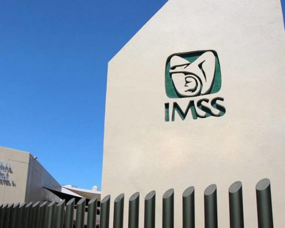Tarjetón Digital IMSS 2024 | TarjetonDigital.com cómo sacar el tarjetón digital
