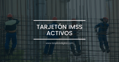 Tarjetón IMSS Activos | TarjetonDigital.com TARJETÓN IMSS ACTIVOS