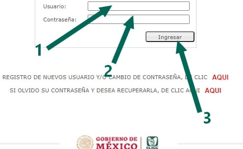 Tarjetón Digital IMSS 2024 | TarjetonDigital.com usuario y contraseña imss
